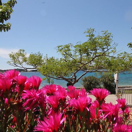 Villa Aurelia Vodice Dış mekan fotoğraf