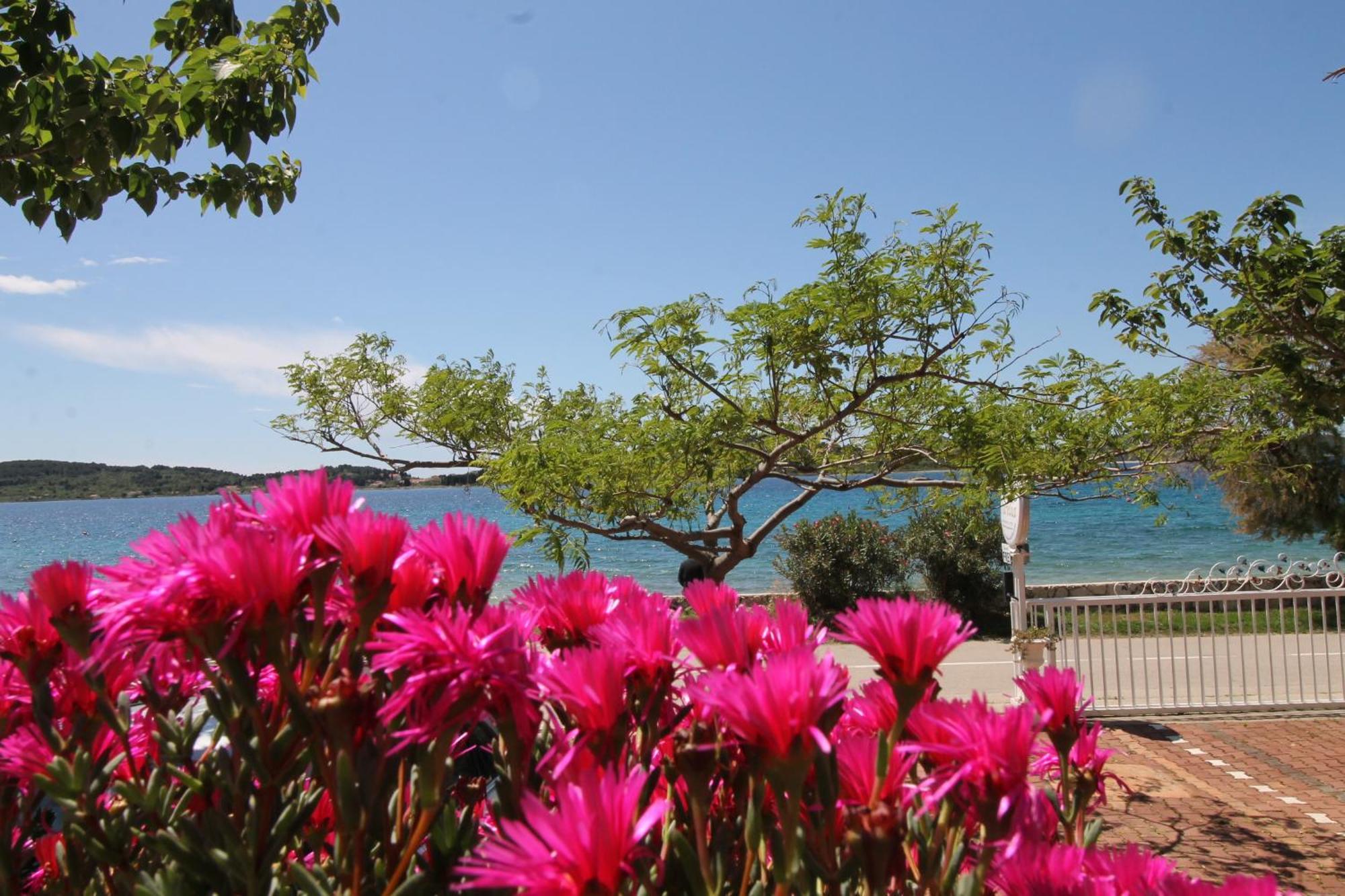 Villa Aurelia Vodice Dış mekan fotoğraf